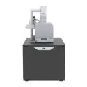 Thermo Fisher P
