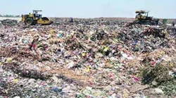 Waste Dumping Management Services