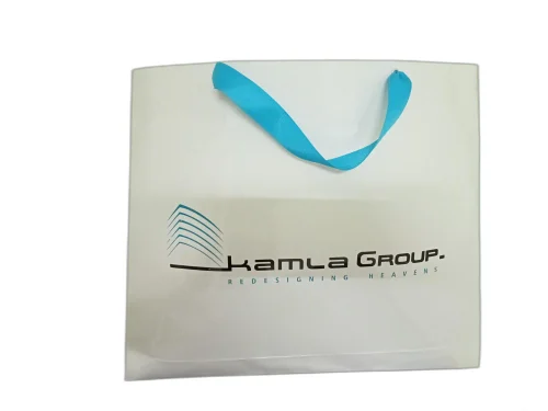 White Rope handle paper bag
