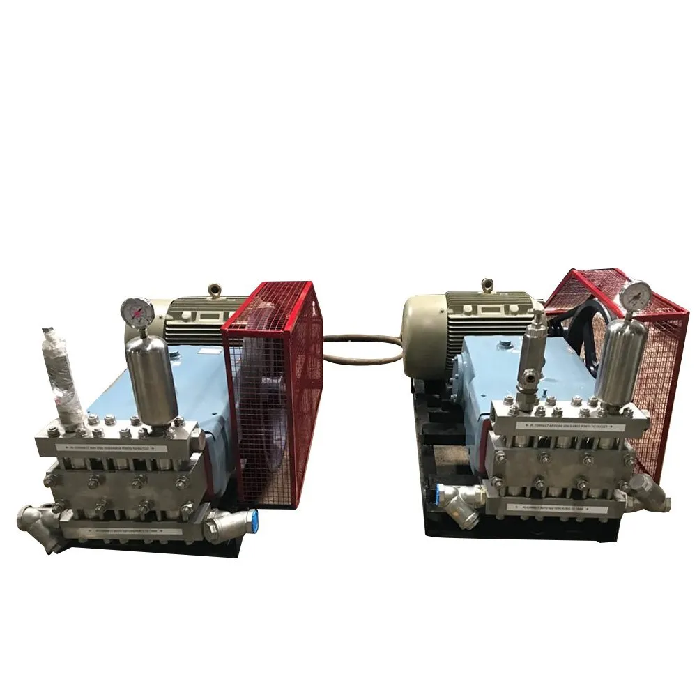 WSSP Pumps Semi-Automatic Reverse Osmosis Pump, Fo